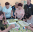 ИЗОБРАЗИТЕЛЬНОЕ ИСКУССТВО - Комплексный центр соцобслуживания населения